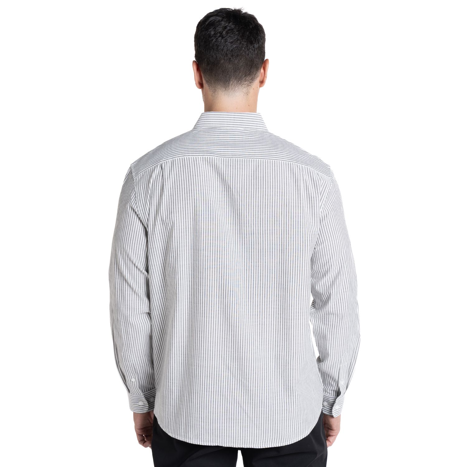 Camisa Oxford Listada Regular Fit