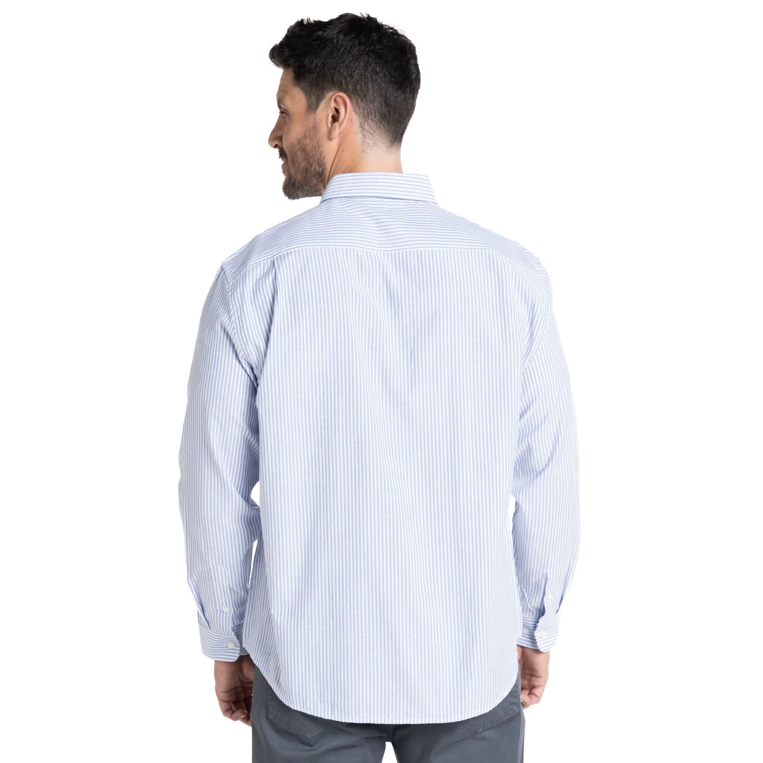 Camisa Oxford Listada Regular Fit