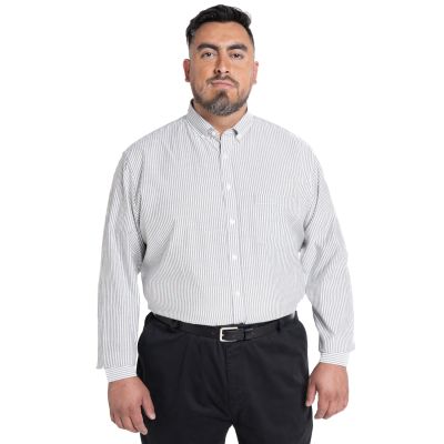 Camisa Oxford Listada Regular Fit